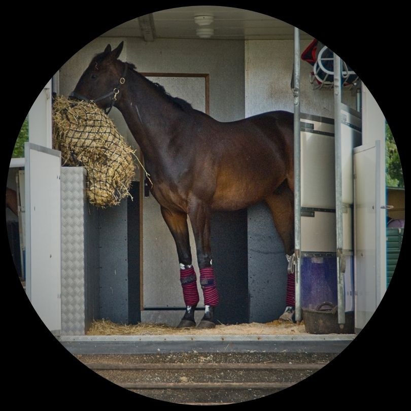 Horsebox insurance cover 