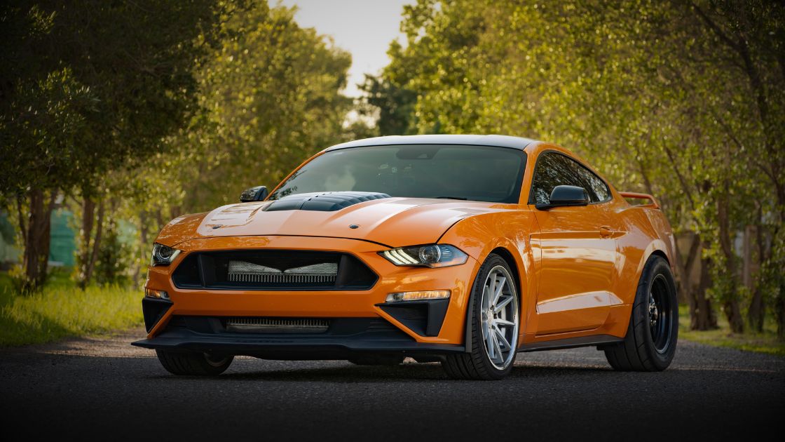 Insurance renewal for niche cars